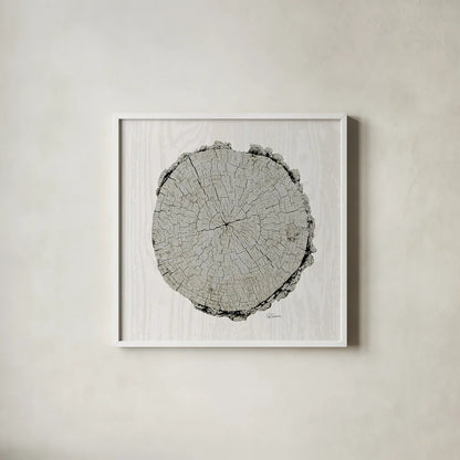 Woodland Years II with Silver v2 by Sue Schlabach. Shown in a crisp white glass frame for a clean and minimalist style. Available as an archival giclee rolled canvas, fine art paper, or poster print. SKU 26782a.