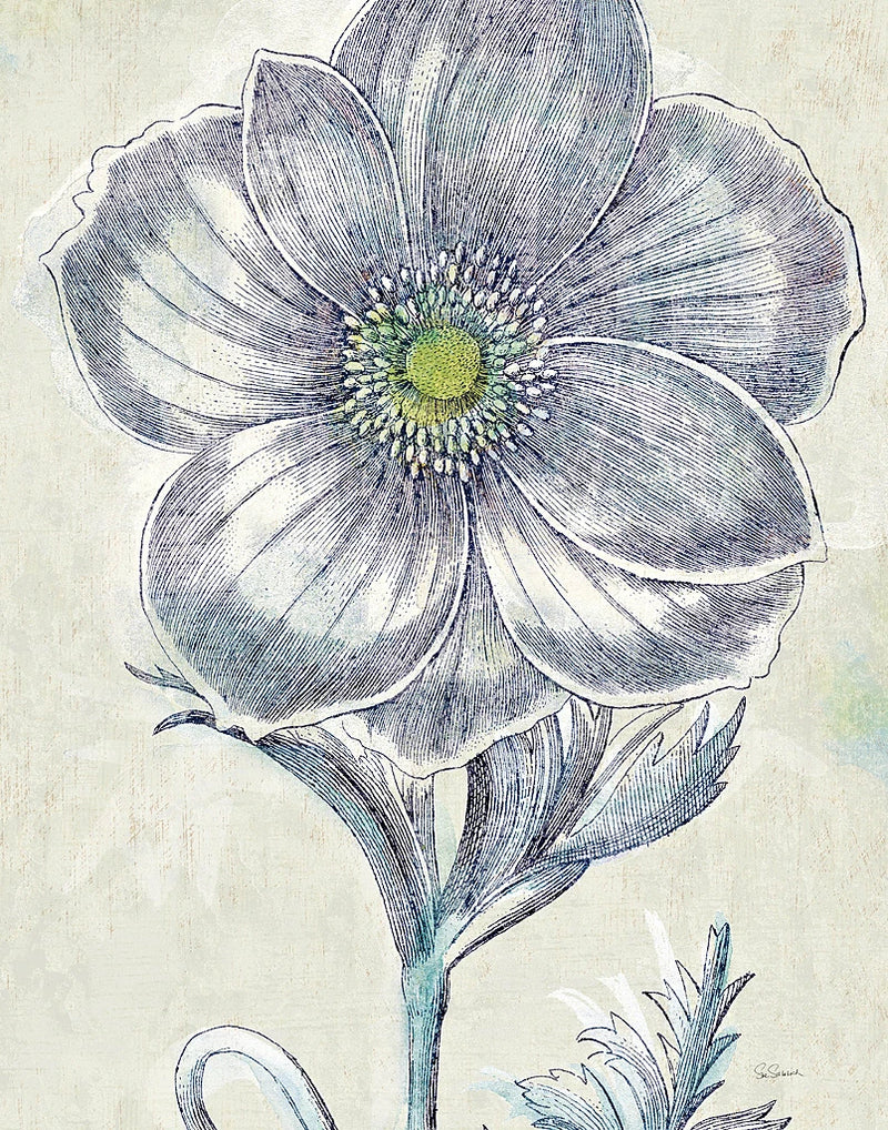 x14 Belle Fleur II Crop by Sue Schlabach