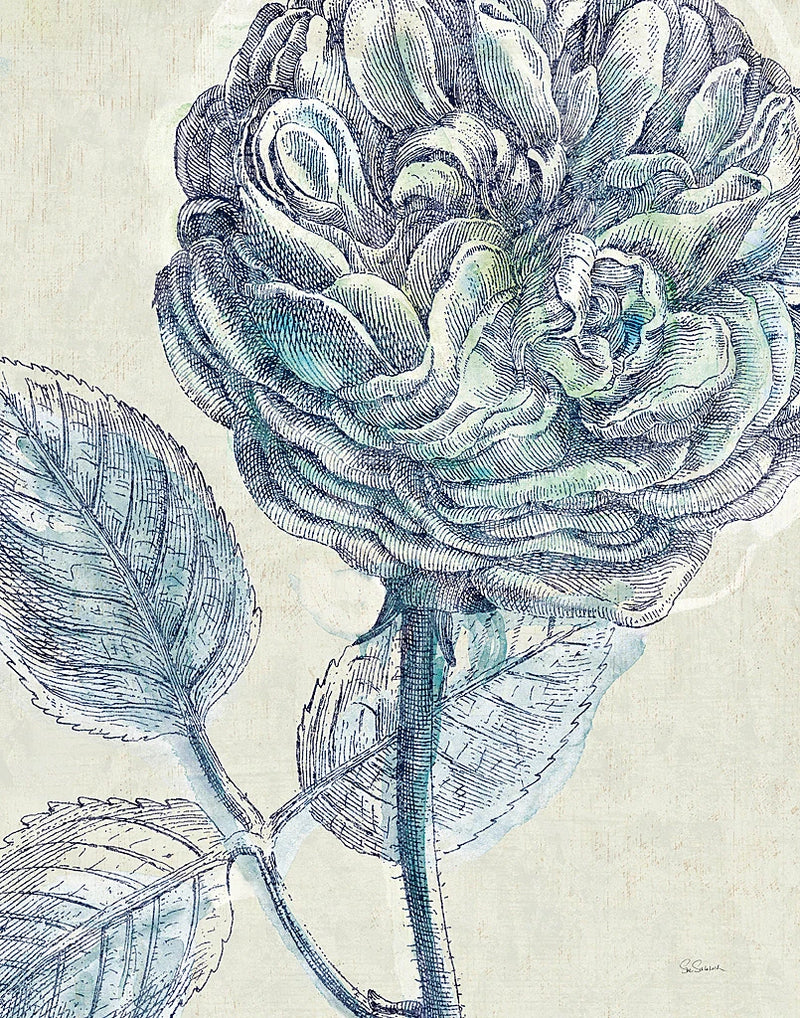 x14 Belle Fleur III Crop by Sue Schlabach