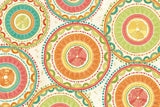 Citrus Splash XIII by Veronique Charron. SKU 38282i. Archival Giclee Fine art print for wall decor.