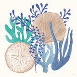 Coastal Currents VI by Veronique Charron. SKU 91768a. Archival Giclee Fine art print for wall decor.