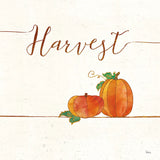 Underlined Fall V by Veronique Charron. SKU 34859a. Archival Giclee Fine art print for wall decor.