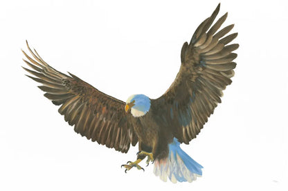 Eagle Landing by Wellington Studio. SKU 62402i. Archival Giclee Fine art print for wall decor.