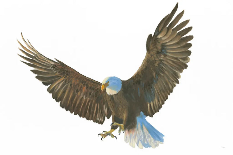 Eagle Landing by Wellington Studio. SKU 62402i. Archival Giclee Fine art print for wall decor.