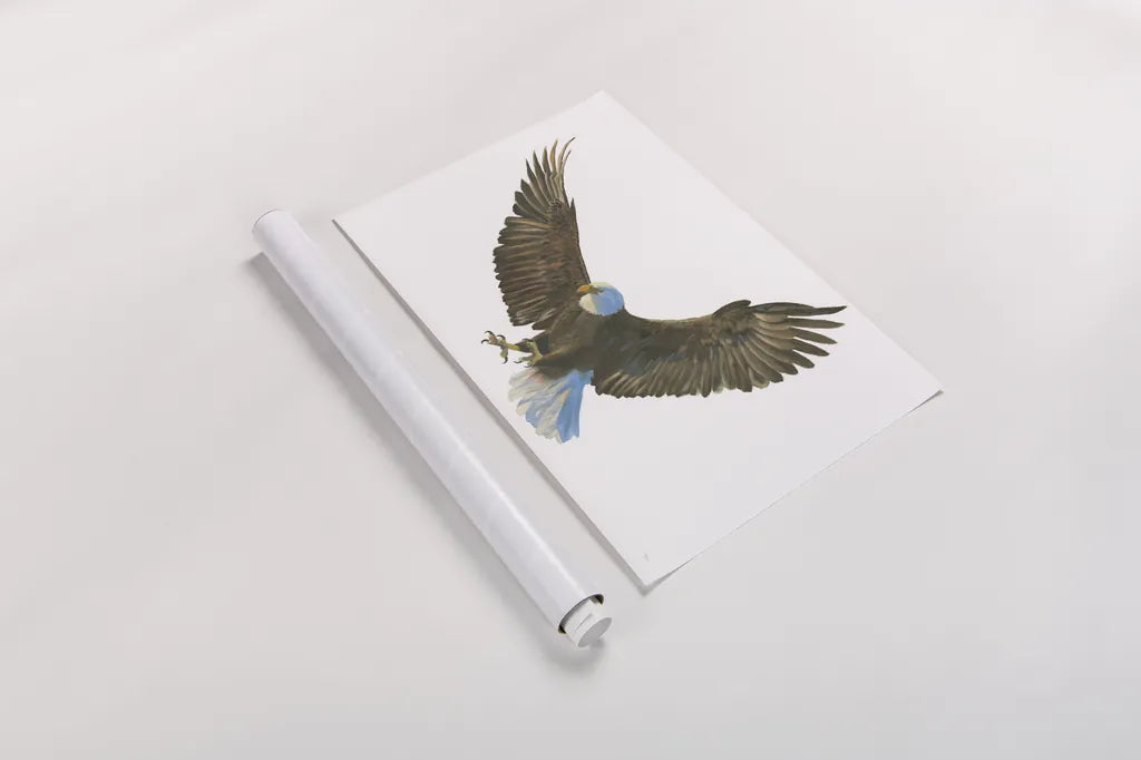 Eagle Landing by Wellington Studio. shown as a rolled paper print. Available as archival giclee rolled canvas, fine art paper, or poster print. SKU 62402i.