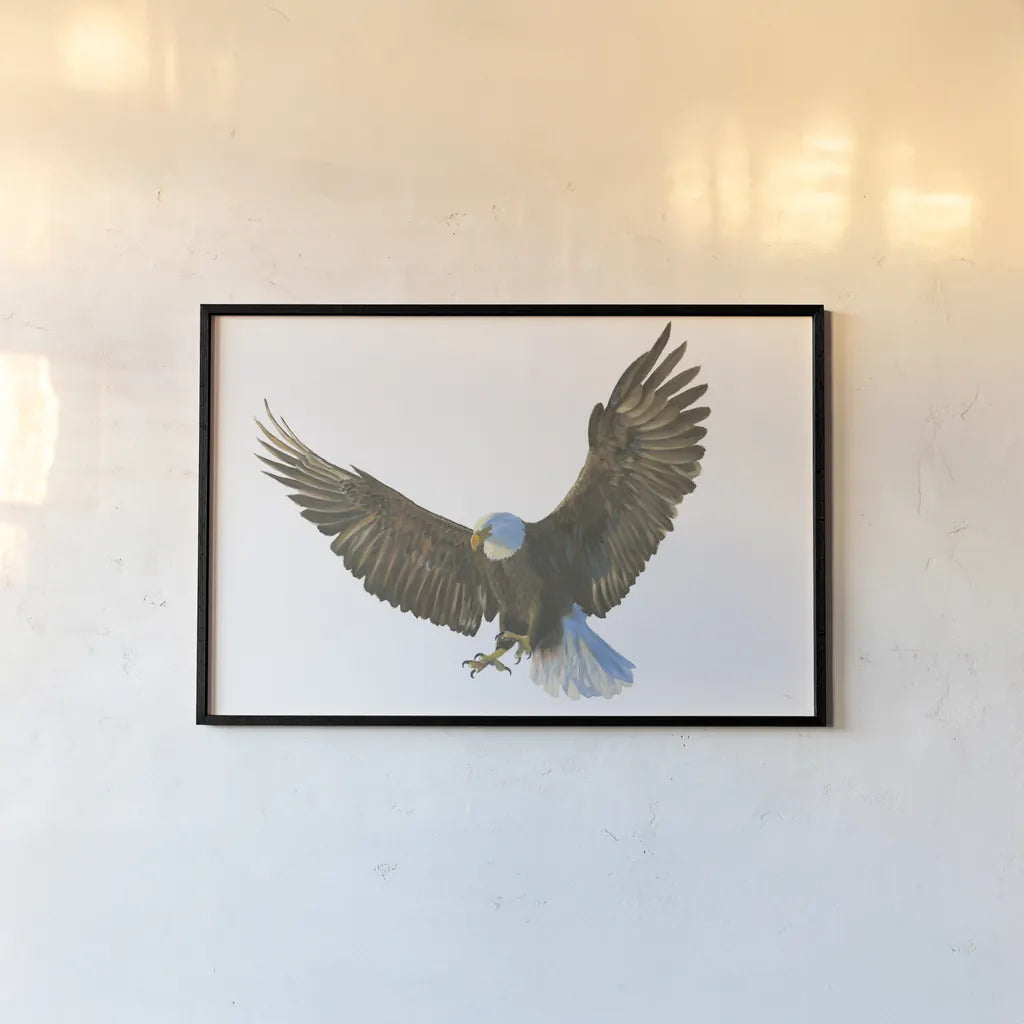 Eagle Landing by Wellington Studio. shown as a paper print in a black flame. Available as a archival giclee rolled canvas, fine art paper, or poster print. SKU 62402i.