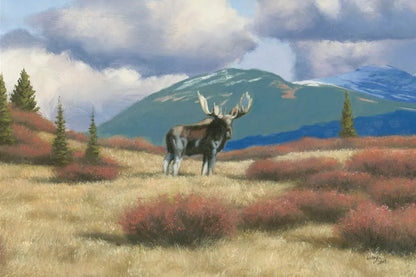 Northern Moose by Wellington Studio. SKU 84086i. Archival Giclee Fine art print for wall decor.