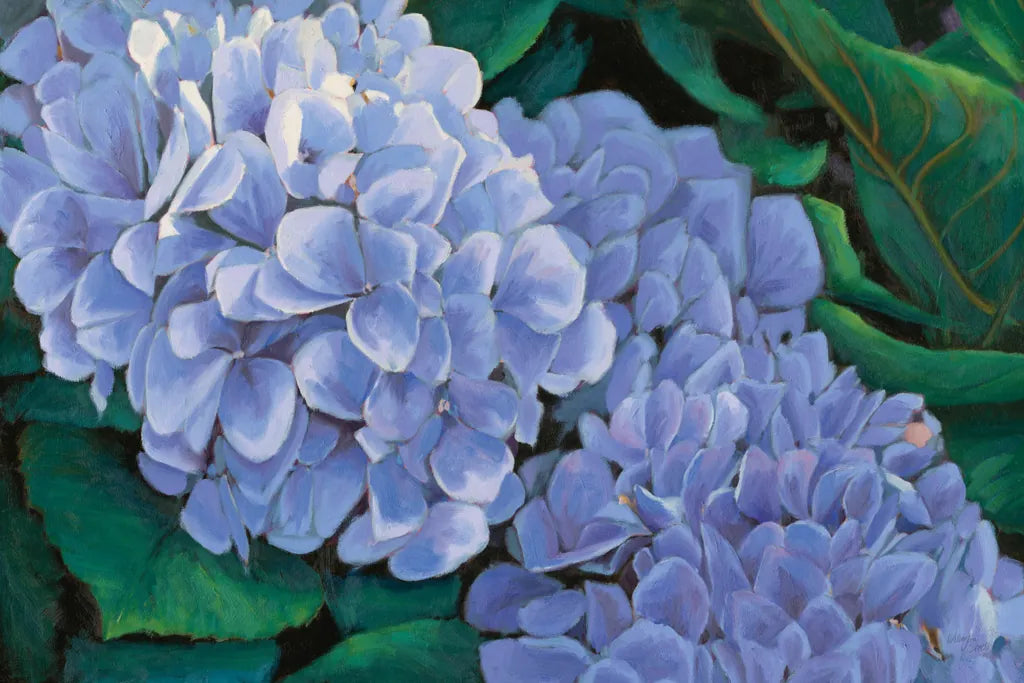 Periwinkle Hydrangea by Wellington Studio. SKU 97130i. Archival Giclee Fine art print for wall decor.