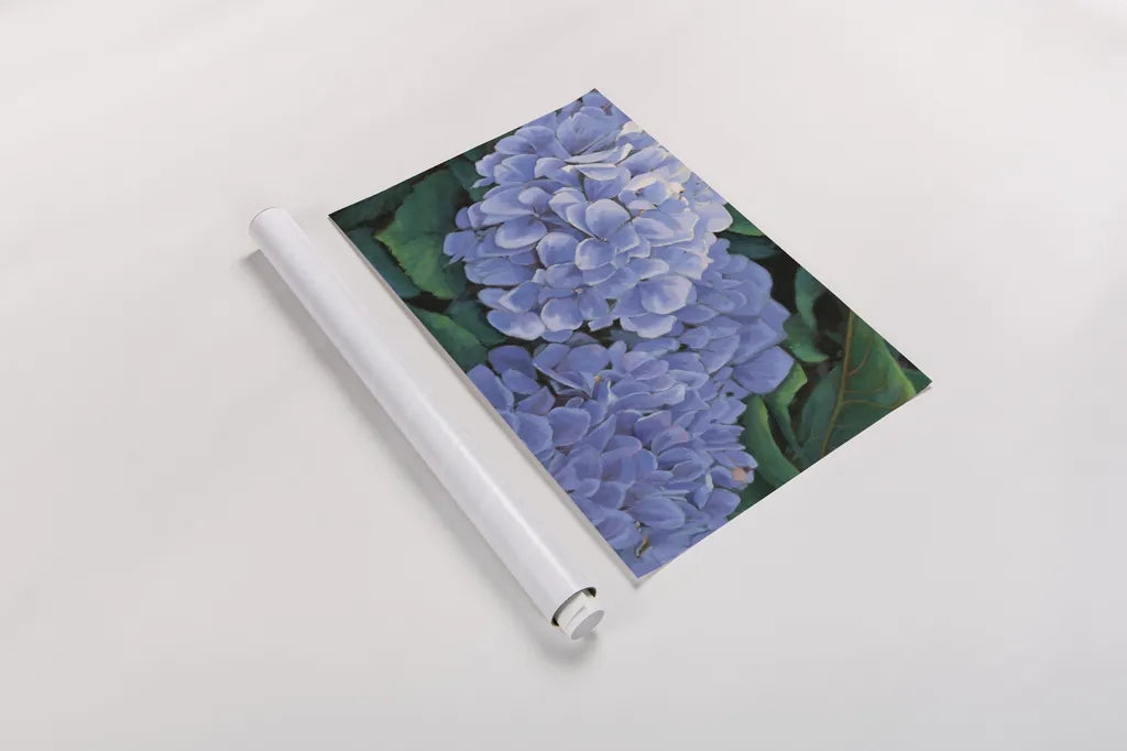 Periwinkle Hydrangea by Wellington Studio. shown as a rolled paper print. Available as archival giclee rolled canvas, fine art paper, or poster print. SKU 97130i.