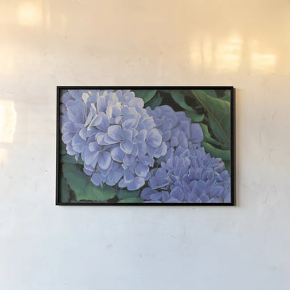 Periwinkle Hydrangea by Wellington Studio. shown as a paper print in a black flame. Available as a archival giclee rolled canvas, fine art paper, or poster print. SKU 97130i.