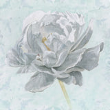 Sublime Peony II by Wellington Studio. SKU 88747a. Archival Giclee Fine art print for wall decor.