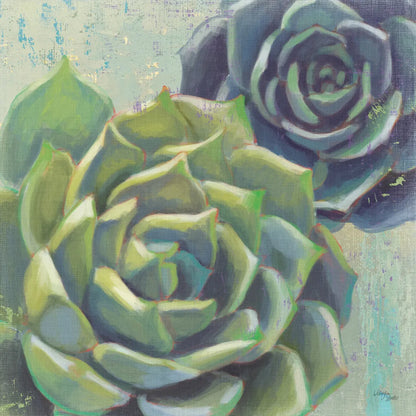Succulents I Crop by Wellington Studio. SKU 45212a. Archival Giclee Fine art print for wall decor.