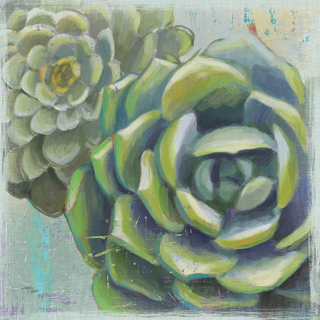 Succulents II by Wellington Studio. SKU 22672a. Archival Giclee Fine art print for wall decor.