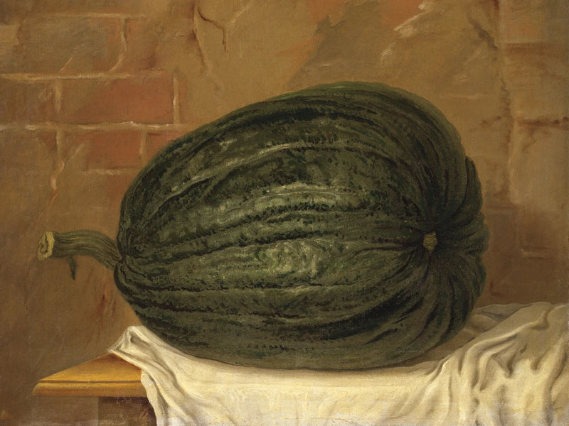 A Huge Pumpkin by Wild Apple Portfolio