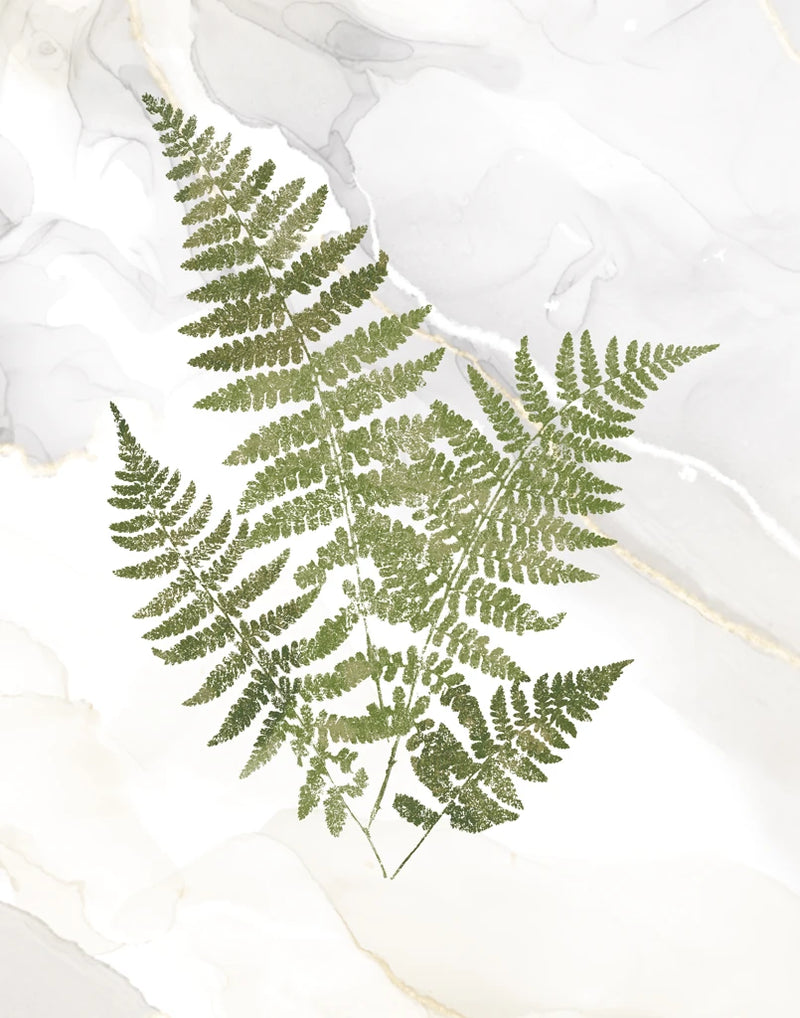 Agate Ferns IX by Wild Apple Portfolio