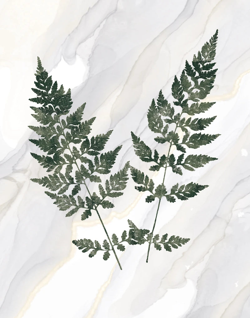 Agate Ferns VII by Wild Apple Portfolio