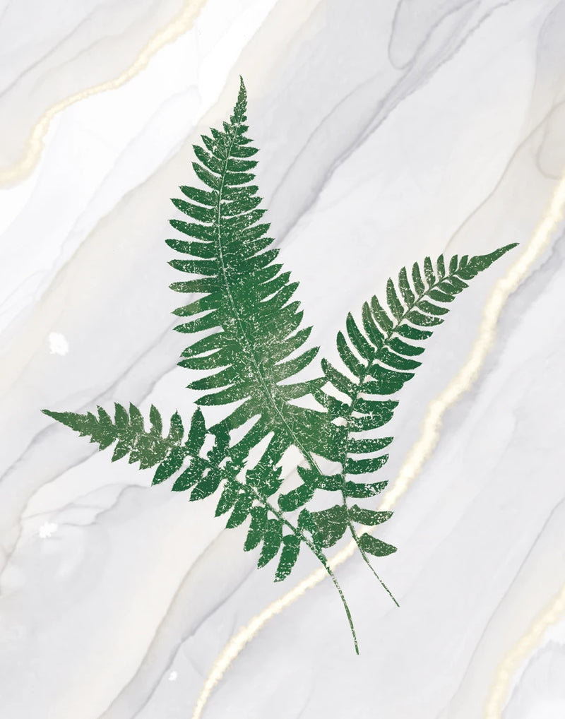 Agate Ferns X by Wild Apple Portfolio