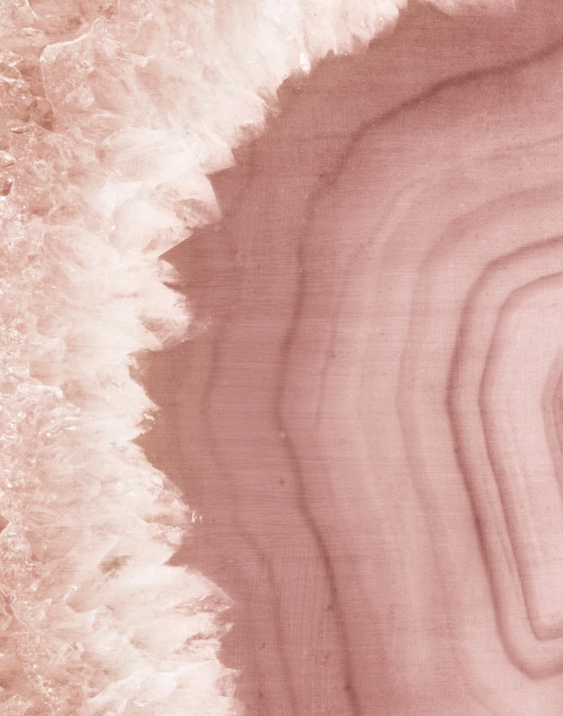 Agate Geode I Blush by Wild Apple Portfolio