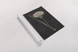 Allium I on Black by Wild Apple Portfolio. shown as a rolled paper print. Available as archival giclee rolled canvas, fine art paper, or poster print. SKU 78145h.