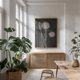 Allium II on Black by Wild Apple Portfolio. shown as a print in a natural wood frame in a dining room. Available as a archival giclee rolled canvas, fine art paper, or poster print. SKU 78146h.