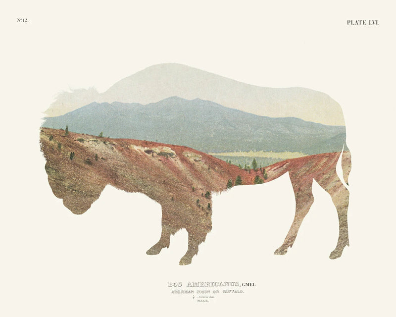 American Southwest Buffalo by Wild Apple Portfolio