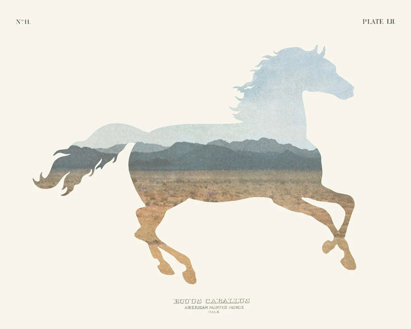 American Southwest Horse by Wild Apple Portfolio