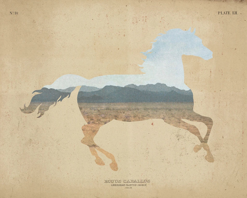 American Southwest Horse Distressed by Wild Apple Portfolio