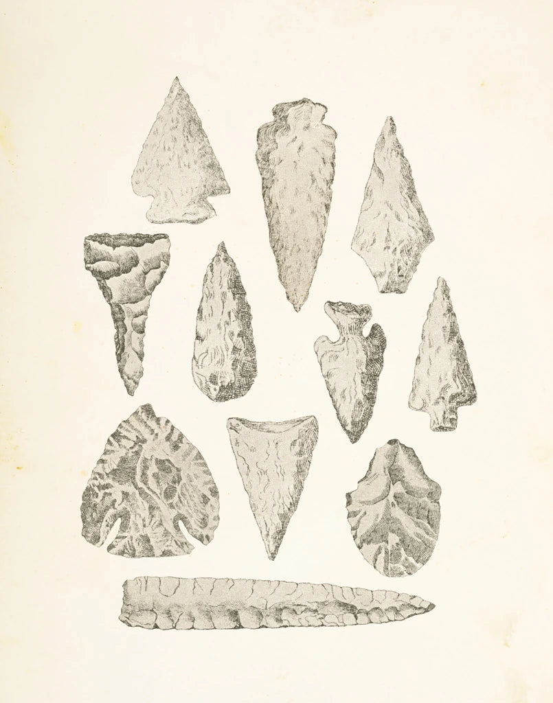 Ancient Arrowheads by Wild Apple Portfolio