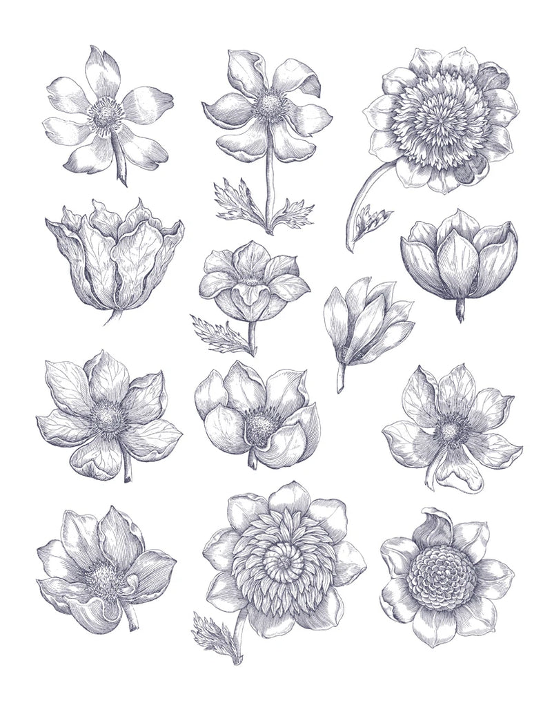 Anemone Plate I Blue by Wild Apple Portfolio