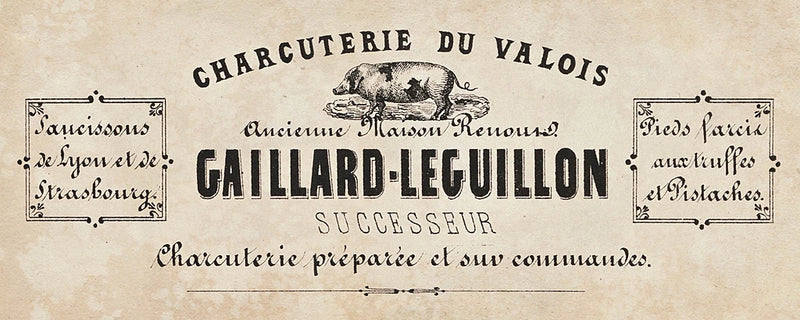 Animal Bill of Sales I by Wild Apple Portfolio