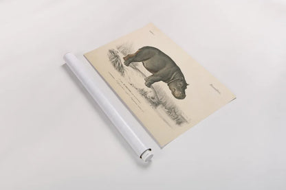 Animals of Africa I by Wild Apple Portfolio. shown as a rolled paper print. Available as archival giclee rolled canvas, fine art paper, or poster print. SKU 92224i.