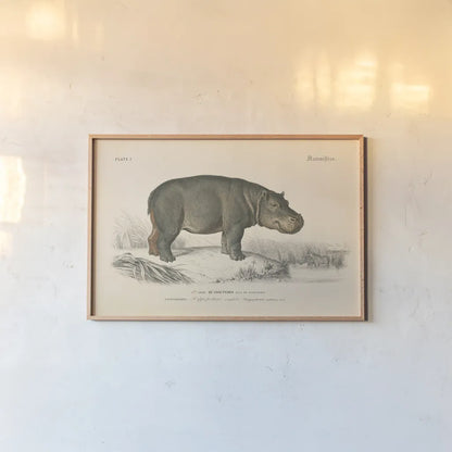 Animals of Africa I by Wild Apple Portfolio. shown as a paper print in a natural frame. Available as a archival giclee rolled canvas, fine art paper, or poster print. SKU 92224i.