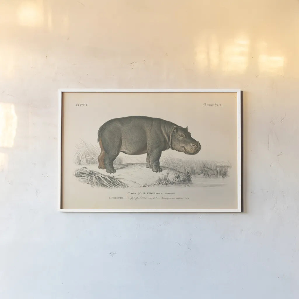 Animals of Africa I by Wild Apple Portfolio. shown as a paper print in a white frame. Available as a archival giclee rolled canvas, fine art paper, or poster print. SKU 92224i.