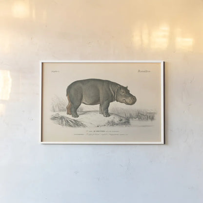 Animals of Africa I by Wild Apple Portfolio. shown as a paper print in a white frame. Available as a archival giclee rolled canvas, fine art paper, or poster print. SKU 92224i.