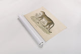 Animals of Africa II by Wild Apple Portfolio. shown as a rolled paper print. Available as archival giclee rolled canvas, fine art paper, or poster print. SKU 92225i.