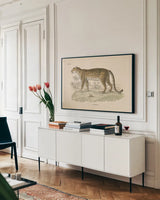 Animals of Africa II by Wild Apple Portfolio. shown as a framed stretched canvas in a living room above a console. Available as a archival giclee rolled canvas, fine art paper, or poster print. SKU 92225i.