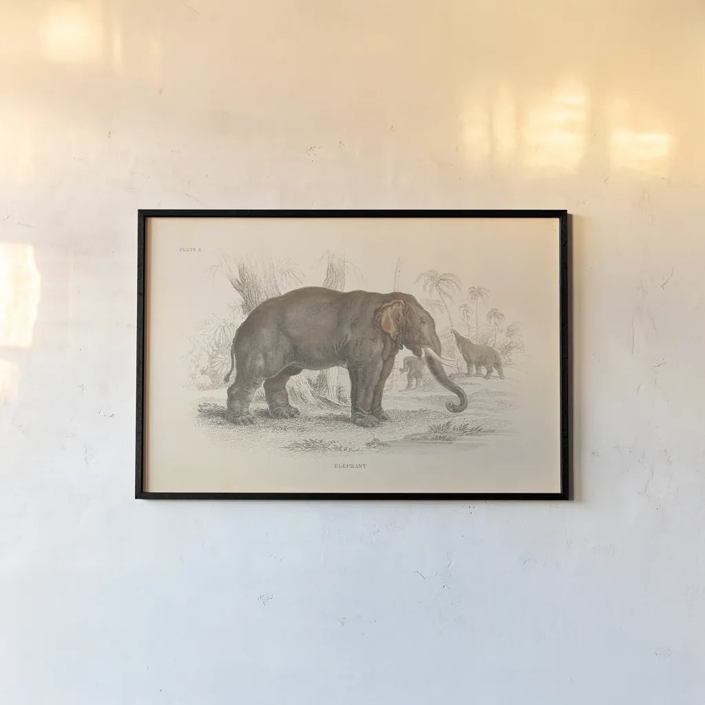 Animals of Africa III by Wild Apple Portfolio. shown as a paper print in a black flame. Available as a archival giclee rolled canvas, fine art paper, or poster print. SKU 92226i.