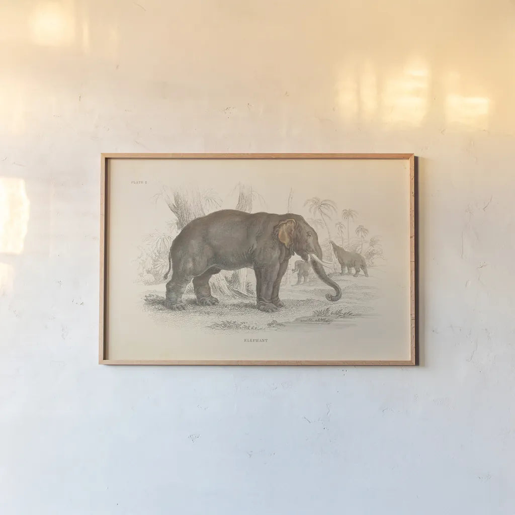 Animals of Africa III by Wild Apple Portfolio. shown as a paper print in a natural frame. Available as a archival giclee rolled canvas, fine art paper, or poster print. SKU 92226i.