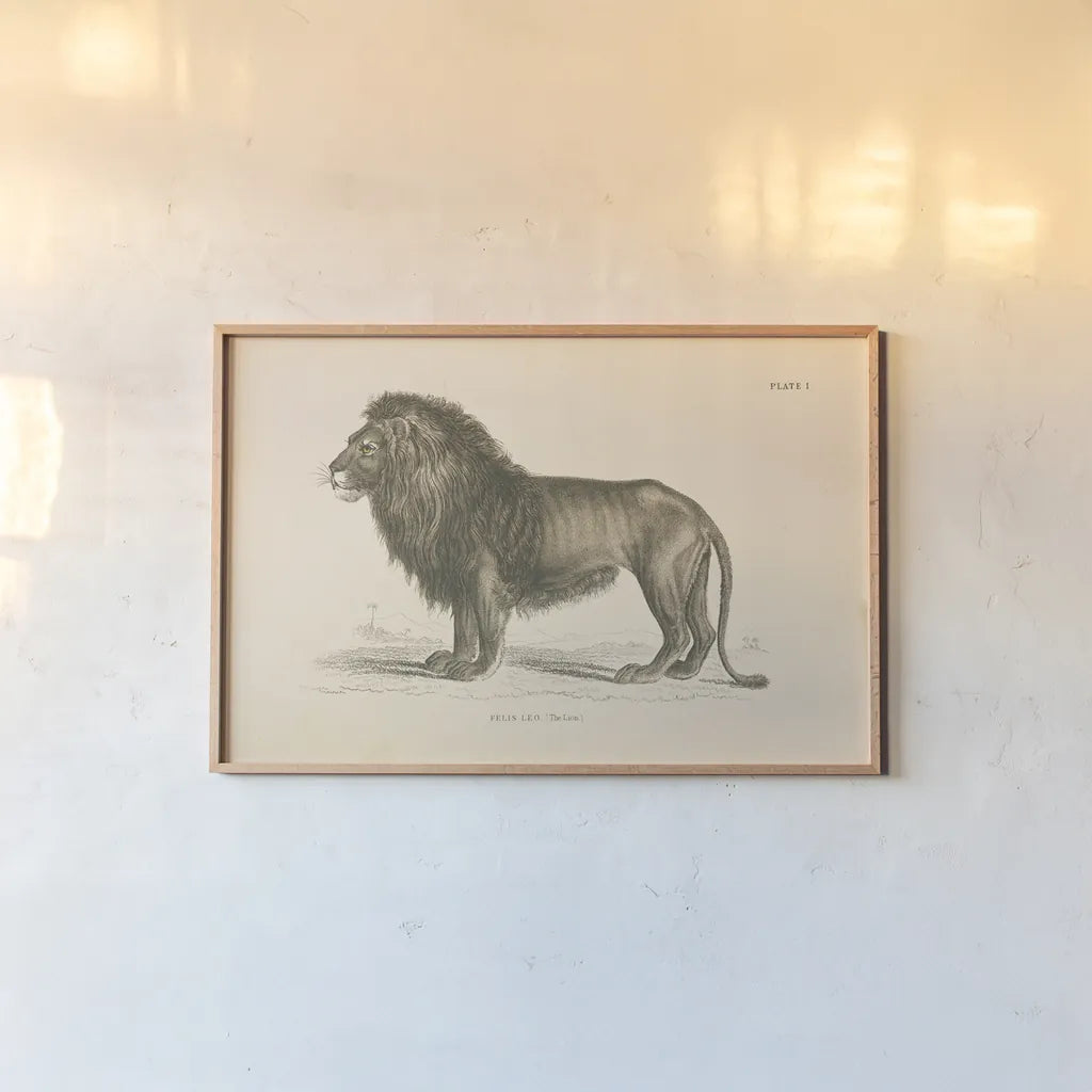 Animals of Africa IV by Wild Apple Portfolio. shown as a paper print in a natural frame. Available as a archival giclee rolled canvas, fine art paper, or poster print. SKU 92227i.