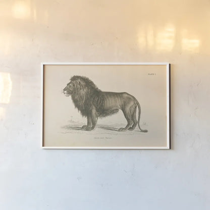 Animals of Africa IV by Wild Apple Portfolio. shown as a paper print in a white frame. Available as a archival giclee rolled canvas, fine art paper, or poster print. SKU 92227i.