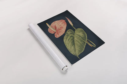 Anthurium Ferrierense Dark Blue No Words by Wild Apple Portfolio. shown as a rolled paper print. Available as archival giclee rolled canvas, fine art paper, or poster print. SKU 90106h.
