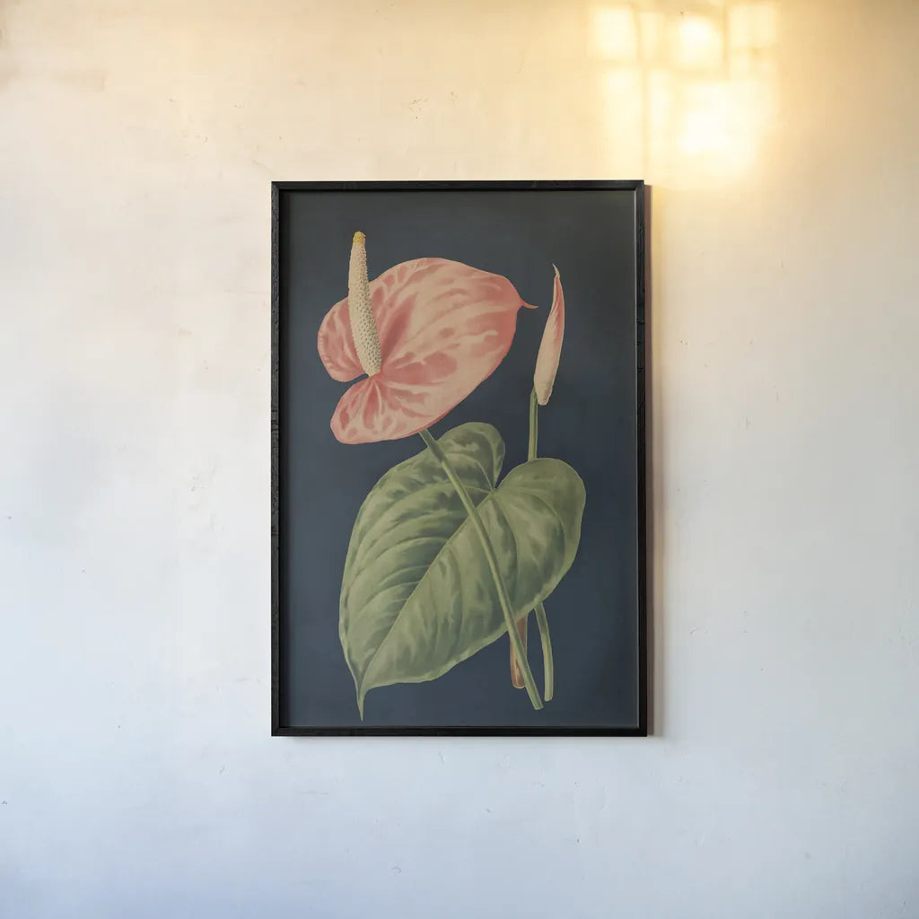 Anthurium Ferrierense Dark Blue No Words by Wild Apple Portfolio. shown as a paper print in a black flame. Available as a archival giclee rolled canvas, fine art paper, or poster print. SKU 90106h.