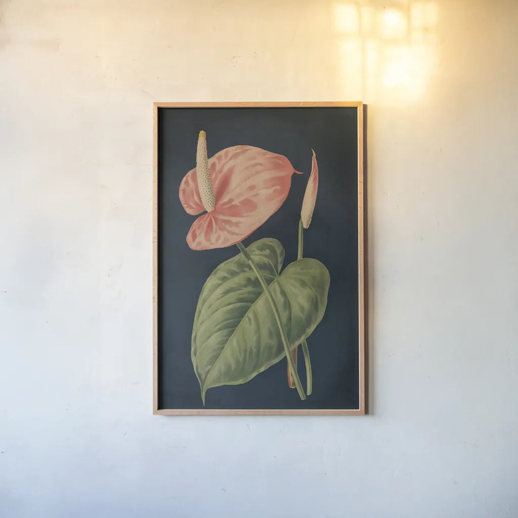 Anthurium Ferrierense Dark Blue No Words by Wild Apple Portfolio. shown as a paper print in a natural frame. Available as a archival giclee rolled canvas, fine art paper, or poster print. SKU 90106h.