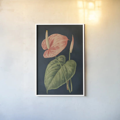 Anthurium Ferrierense Dark Blue No Words by Wild Apple Portfolio. shown as a paper print in a white frame. Available as a archival giclee rolled canvas, fine art paper, or poster print. SKU 90106h.