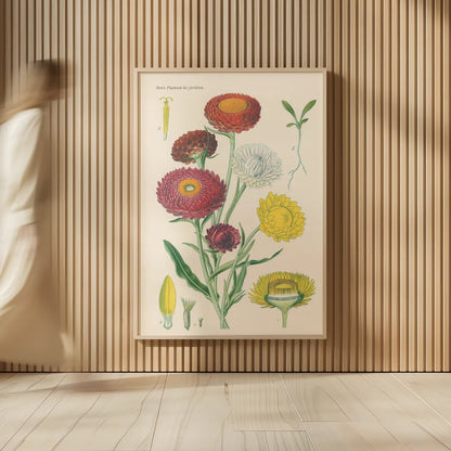 Antique Botanical XL Light by Wild Apple Portfolio. shown as over sized large wall art. Available as an archival giclee rolled canvas, fine art paper, or poster print. SKU 55150h.