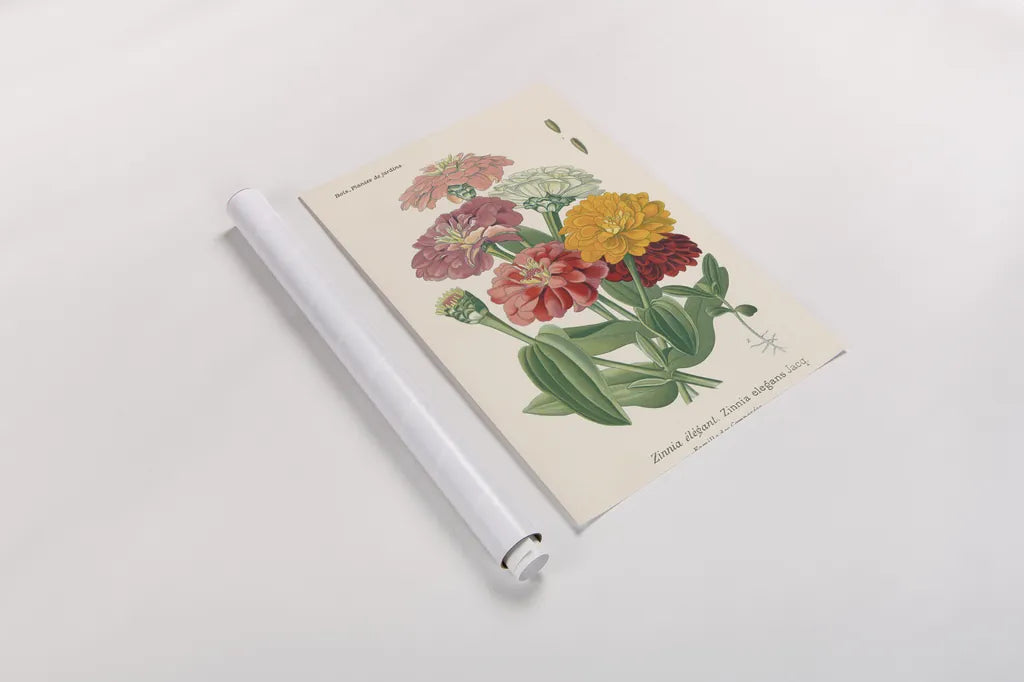 Antique Botanical XLI Light by Wild Apple Portfolio. shown as a rolled paper print. Available as archival giclee rolled canvas, fine art paper, or poster print. SKU 55151h.
