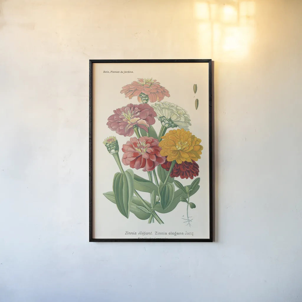 Antique Botanical XLI Light by Wild Apple Portfolio. shown as a paper print in a black flame. Available as a archival giclee rolled canvas, fine art paper, or poster print. SKU 55151h.