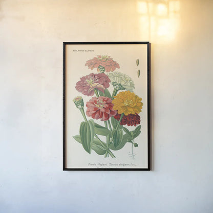 Antique Botanical XLI Light by Wild Apple Portfolio. shown as a paper print in a black flame. Available as a archival giclee rolled canvas, fine art paper, or poster print. SKU 55151h.