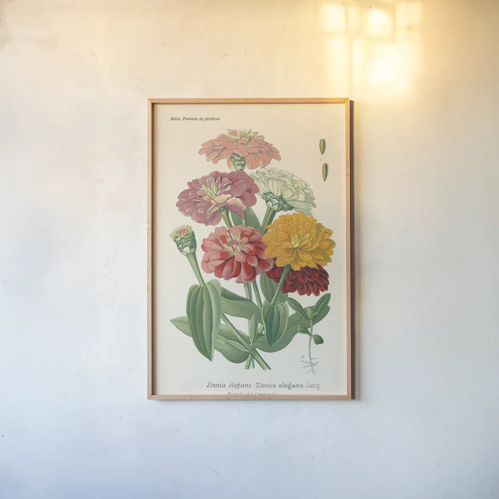 Antique Botanical XLI Light by Wild Apple Portfolio. shown as a paper print in a natural frame. Available as a archival giclee rolled canvas, fine art paper, or poster print. SKU 55151h.