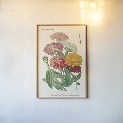 Antique Botanical XLI Light by Wild Apple Portfolio. shown as a paper print in a natural frame. Available as a archival giclee rolled canvas, fine art paper, or poster print. SKU 55151h.